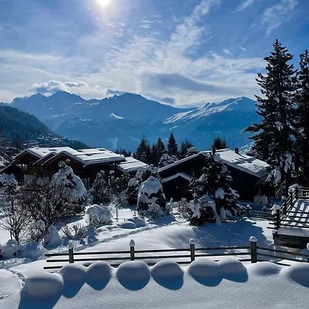 Chalet Les Moulins 5 Cheminee Piscine Sauna Parking Prive *