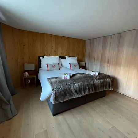 Chalet Les Moulins 5 Cheminee Piscine Sauna Parking Prive *