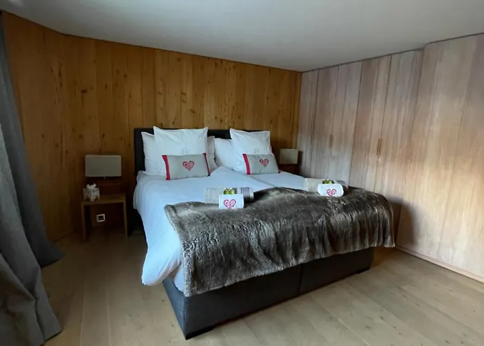 Domek alpejski Les Moulins 5 Cheminee Piscine Sauna Parking Prive *